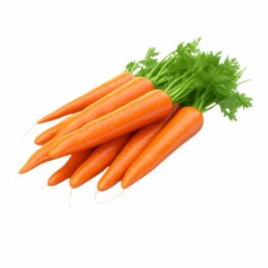 CARROT