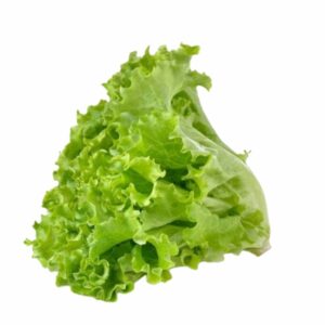 LETTUCE