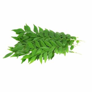 CURRY LEAF