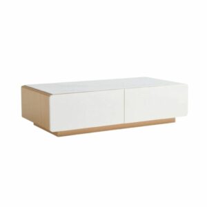 LINSY COFFEE TABLE LSC22CJ002675