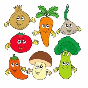 Bulb Vegetables