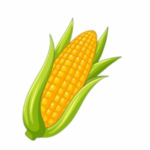 Corn
