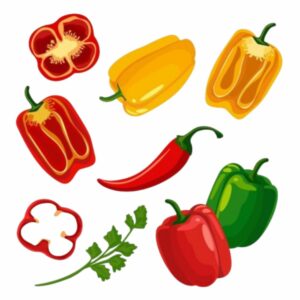 Spices / Condiments / Chillies