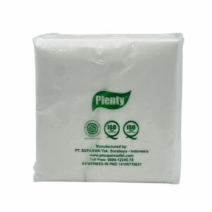 PLENTY TISSUE 100 SHEET