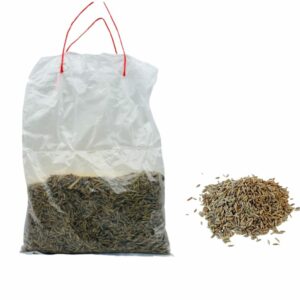CUMIN SEED 50G