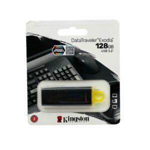 KINGSTON DATATRAVELER